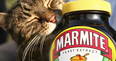 餐飲業戰“疫”新動向 海底撈精釀線下擴張，BrewDog跨界酵母醬，行業自救各顯神通